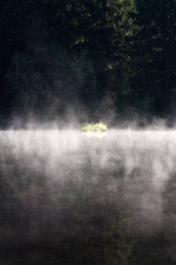Pohorsky göletinin yüzeyi üzerindeki sabah sisi Pohorska Ves, Novohradske Dağları, Cesky Krumlov Bölgesi, Güney Bohemya Bölgesi yakınlarındaki Jiricka rezervuarı olarak bilinir.