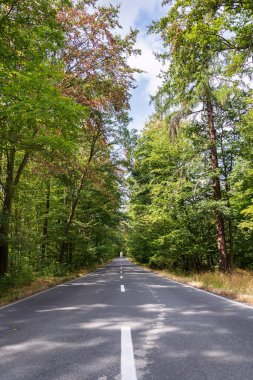 Yaprak döken ormanın ortasında bozuk çizgileri olan boş bir yol, yeşil ağaçlar sokağı, güneşli bir yaz günü, karbon gazı emisyonları veya seyahat tutkusu kavramı