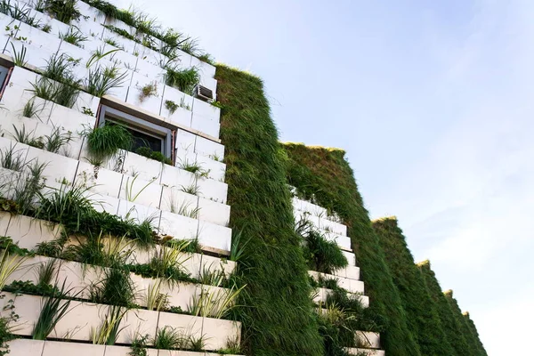 Grön Vertikal Levande Vägg Med Rotzon Avloppsvatten Behandling Yttre Fasad — Stockfoto