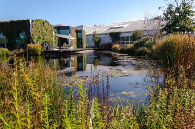 Yeşil duvarlı dikey bahçe, doğal biyopsi havuzuna yansıyan doğal bitki temizleme suyu, doğal klima konsepti, güneşli yaz günü.