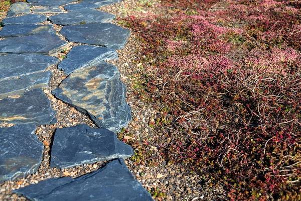 Ρουστίκ Φυσικό Spaced Out Πέτρες Μονοπάτι Κήπο Βλάστηση Που Χρησιμοποιείται — Φωτογραφία Αρχείου