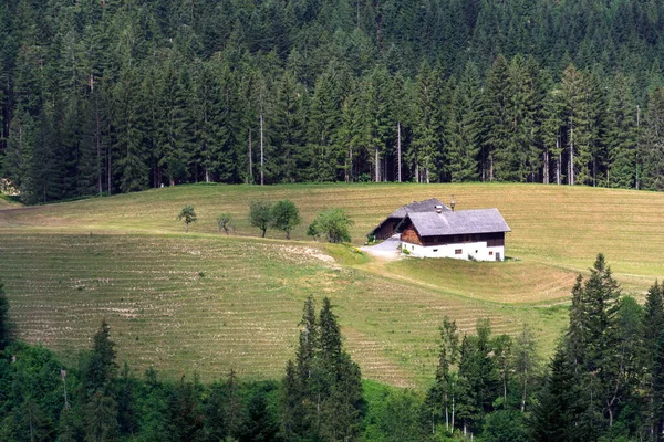 Abgelegenes Traditionelles Haus Auf Einer Wiese Mitten Wald Den Österreichischen — Stockfoto