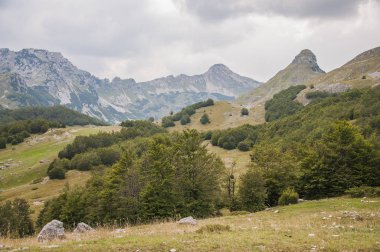 Karadağ; Nehir Piva; Mavi su;