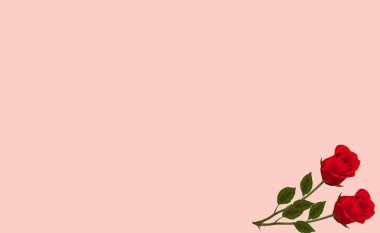 Altın arkaplan resmi, pembe sevgililer günü dokusu fotokopi alanı, resmin sağ alt kısmında iki kırmızı gül güzel, dekorasyon Şubat 'ın on dördüncü gününde..