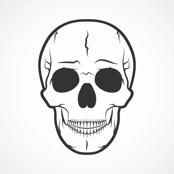 Calavera humana. Ilustración vectorial . — Archivo Imágenes Vectoriales