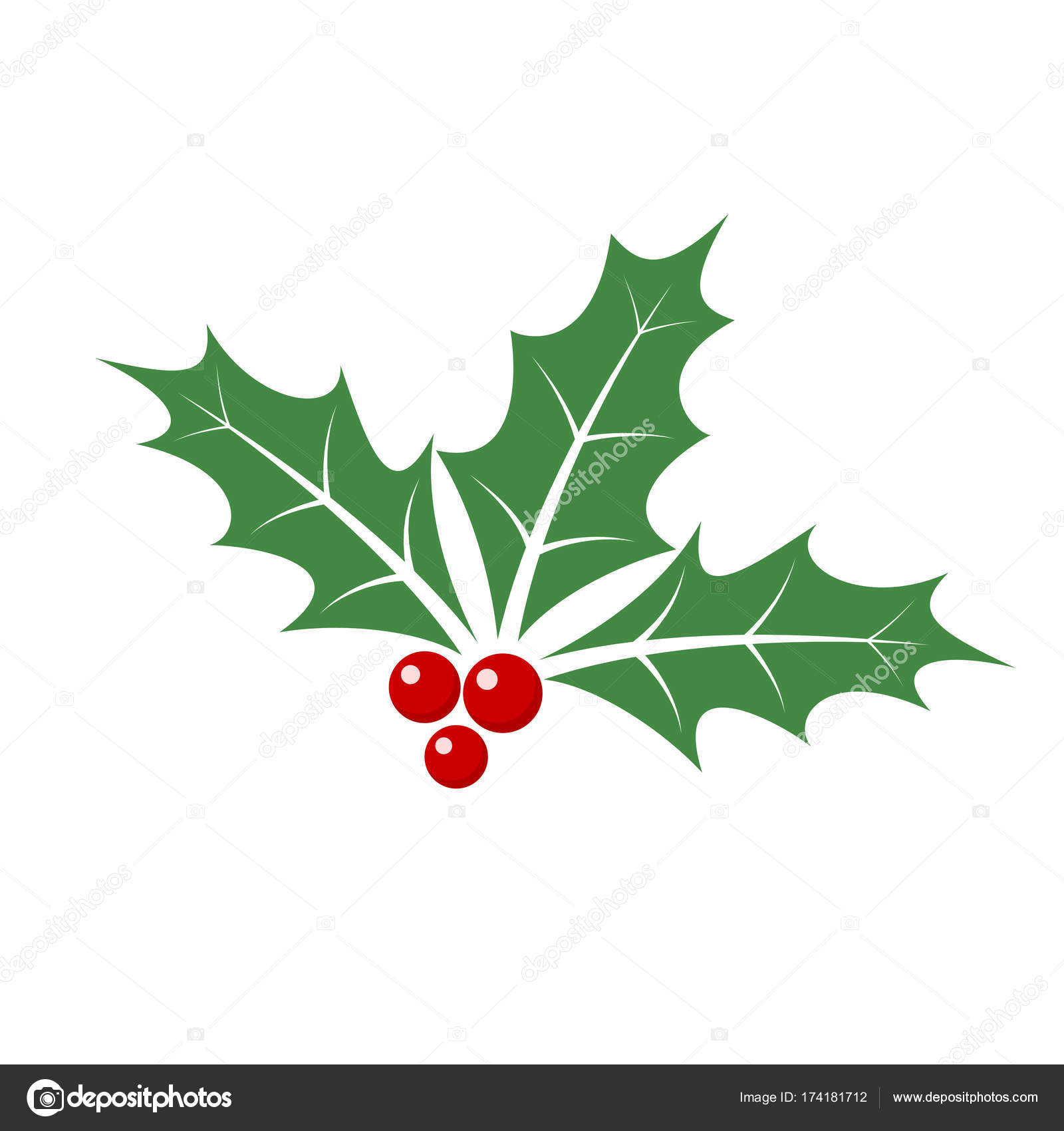 Christmas holly berry leaves. Vector illustration. Stock Vector by