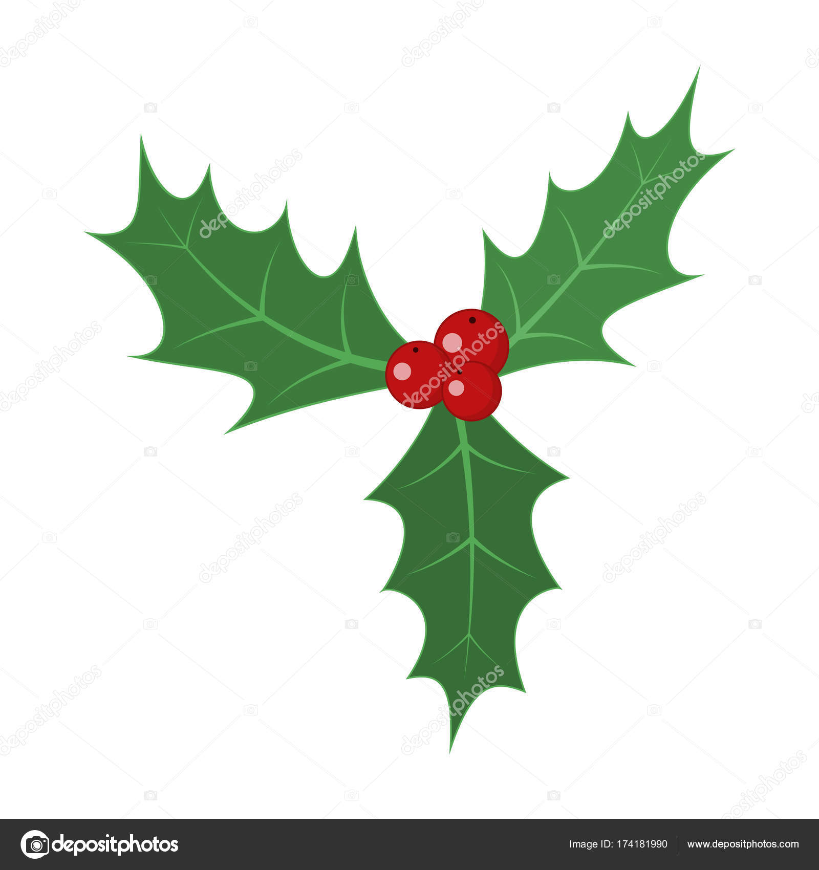 Download Christmas holly berry leaves. Vector illustration. — Stock ...
