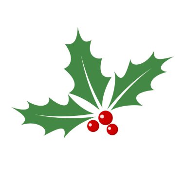 Noel holly berry bırakır. Vektör çizim.