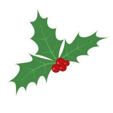 Noel holly berry bırakır. Vektör çizim.