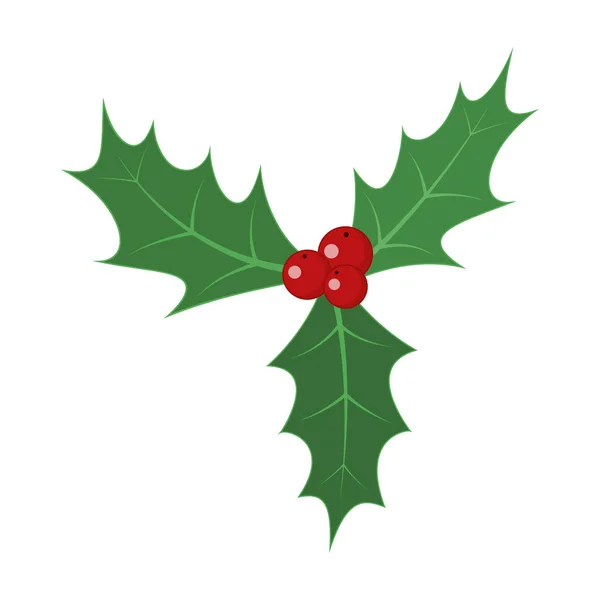 Christmas holly berry lämnar. Vektor illustration. — Stock vektor