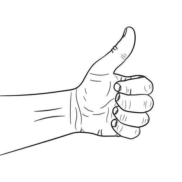 Hand with the thumb up. Vector illustration. — Stock Vector