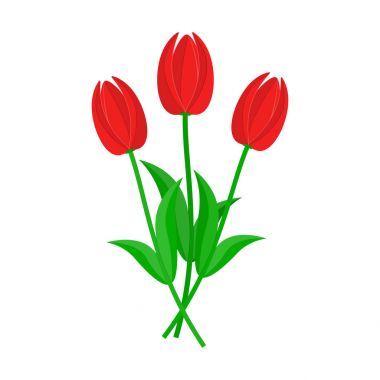 Kırmızı lale buketi. Vektör çizim.