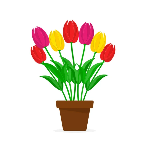 Букет разноцветных тюльпанов в кастрюле. Векторная иллюстрация . — стоковый вектор