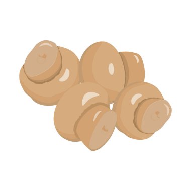 Mantar kümesi. Vektör çizim