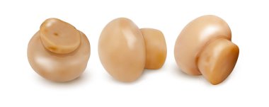 Mantar kümesi. Vektör çizim