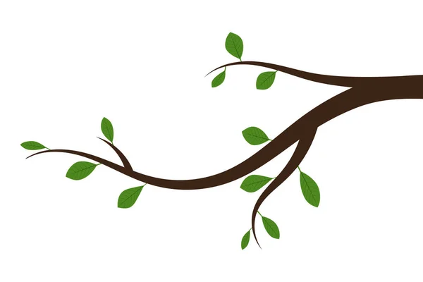 Zweig mit grünen Blättern. Vektorillustration. — Stockvektor