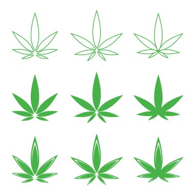 Tıbbi marihuana yaprakları izole.