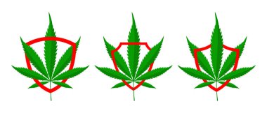 Esrar ya da marihuana yapraklı kalkan.