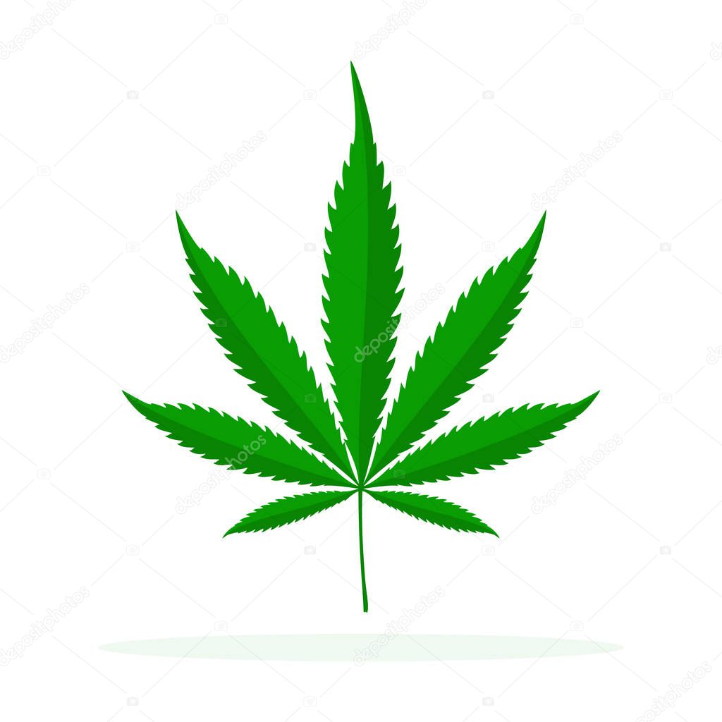 Cannabis vector icon. Green cannabis leaf logo. Medical marijuana leaf isolated.