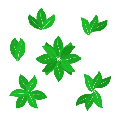 Vektör çıkış simgelerini izole et.