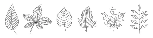 Reihe von gezeichneten Blättern im Dünnstrich-Stil. — Stockvektor
