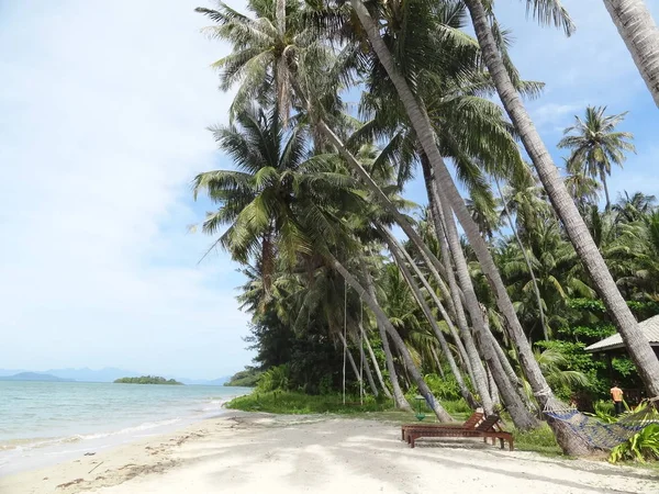 Praia Uma Ilha Tropical Areia Branca Céu Azul Mar Palmeiras — Fotografia de Stock