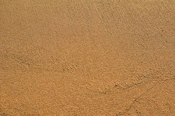 砂浜の砂を背景に — ストック写真