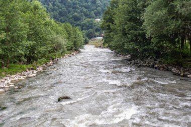Kafkasya 'da çalkantılı bir dağ nehrinin hızlı akışı