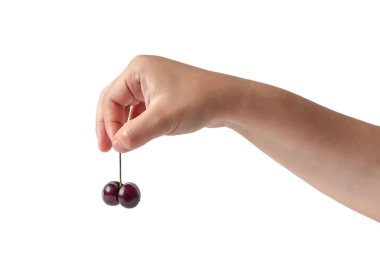 Bir sapta iki kiraz.