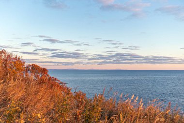 Deniz manzarası ve akşam güneşiyle aydınlatılan çimenler