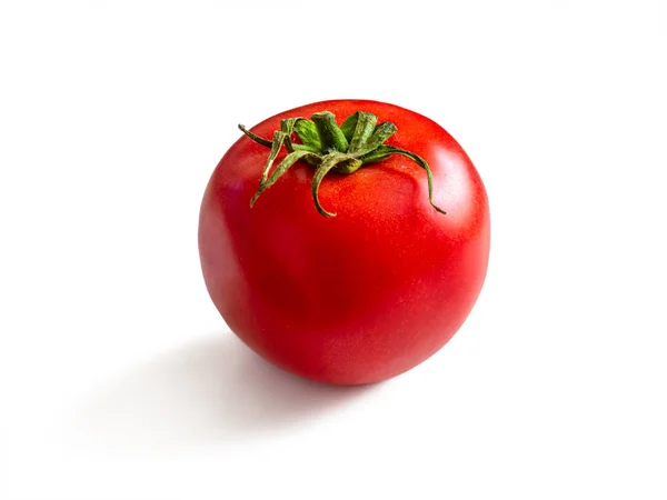 Tomate suculento, vermelho com folhas verdes e caule — Fotografia de Stock