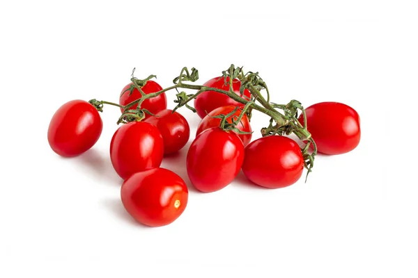 Tomates de cereja vermelhos em um ramo verde — Fotografia de Stock