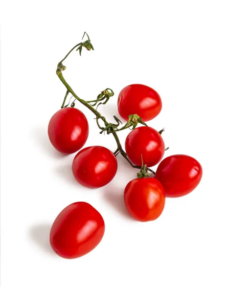 Pequenos tomates cereja em um ramo verde — Fotografia de Stock