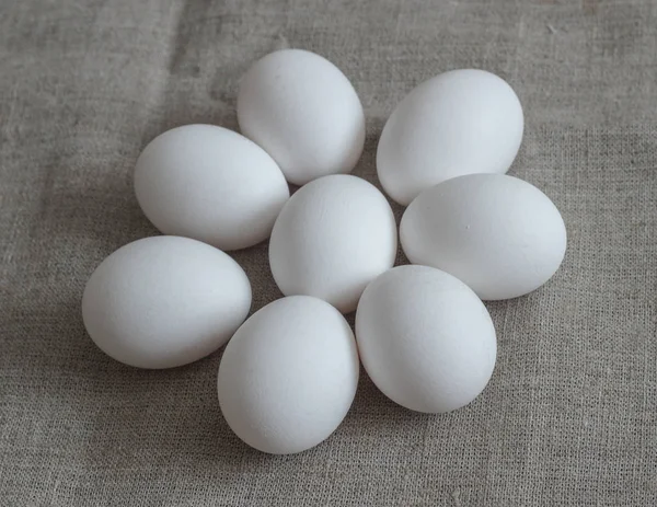 Восемь яиц — стоковое фото