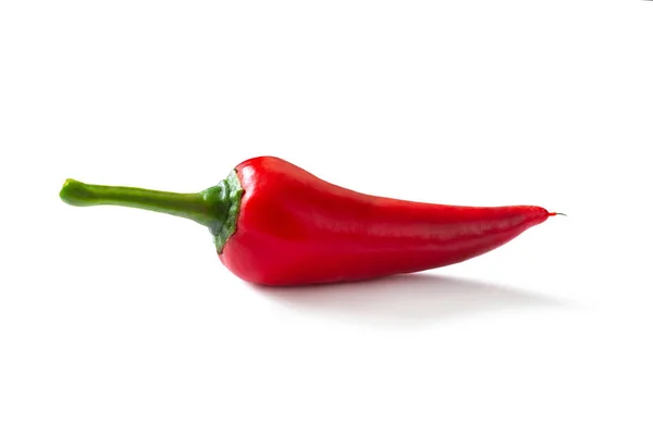 Schote aus roter Chilischote — Stockfoto