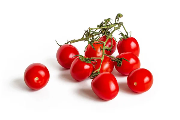 Tomates de cereja vermelhos em um ramo verde seco — Fotografia de Stock