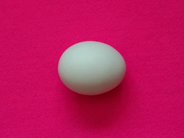 Αυγό και ροζ φόντο — Φωτογραφία Αρχείου