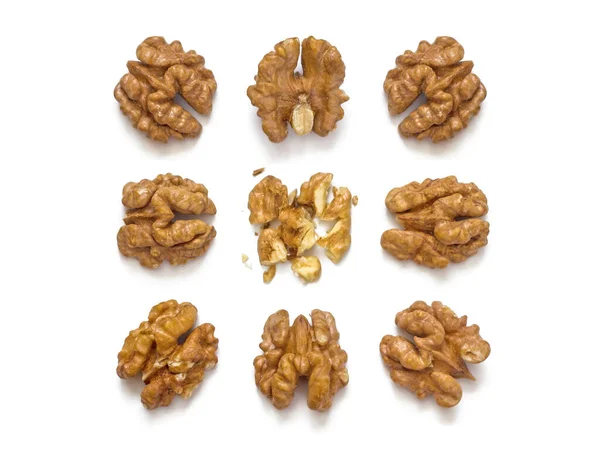 Девять орехов — стоковое фото