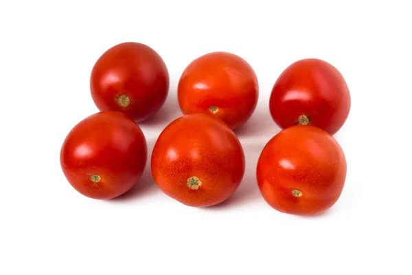 Two rows of tomatoes — 图库照片