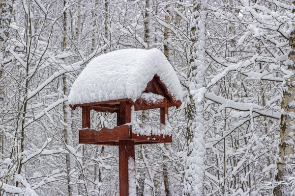 Snow-covered roof of a bird feeder in a winter forest — Stockfoto