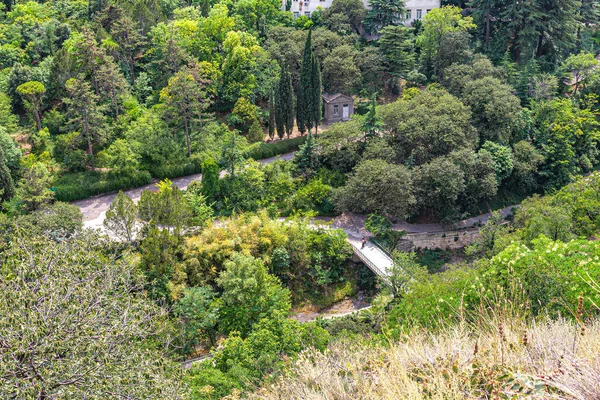 Top View Trees Shady Alleys Bridge Mountain River Botanical Garden — Stock Photo, Image