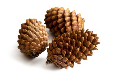 Üç kahverengi, pullu köknar kozalağı beyaz bir arka planda izole tohumlar