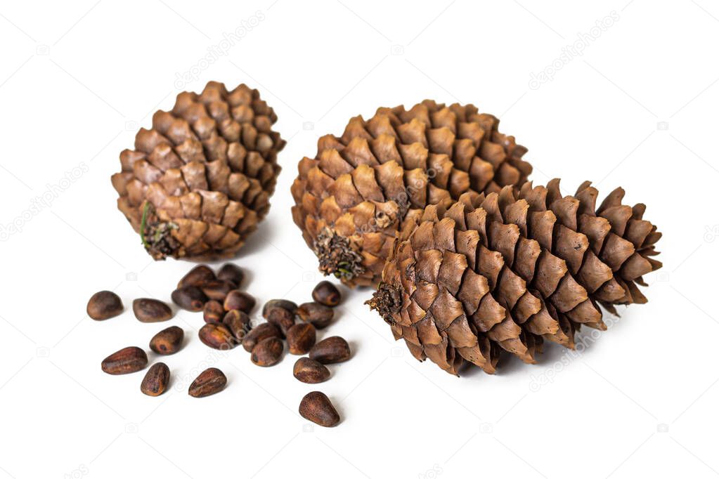 Cedar nuts with shells and three brown fir cones with scales isolated on a white background