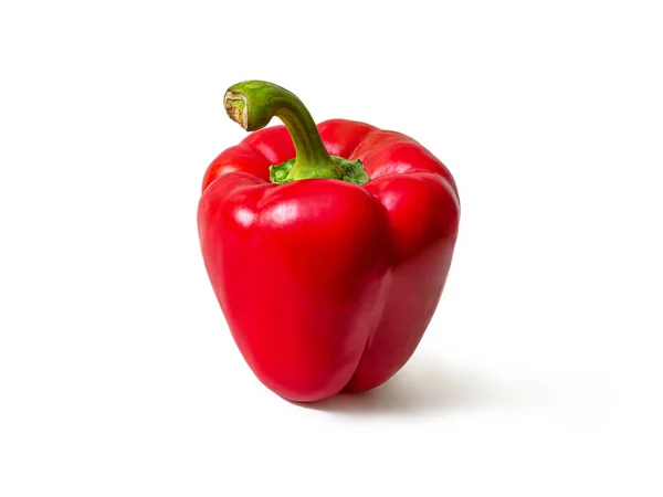 Mature Juicy Bright Red Bell Pepper Green Stem Stands Isolated — Stock Photo, Image