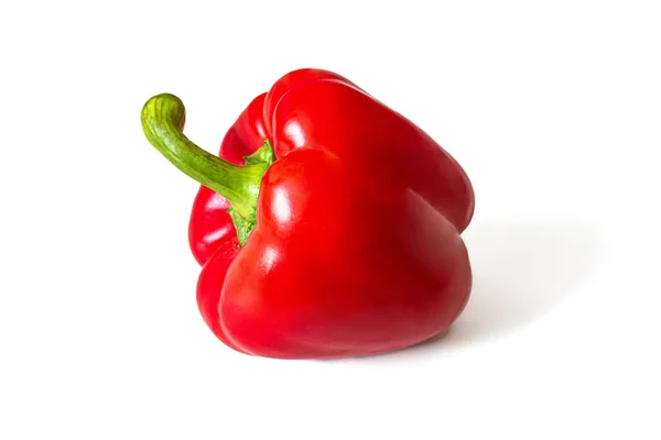 Rode Sappige Paprika Met Groene Steel Geïsoleerd Een Witte Achtergrond — Stockfoto
