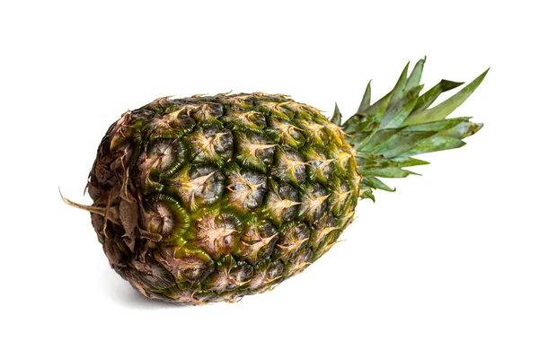 Abacaxi Grande Fruto Exótico Semelhante Cone Abeto Com Monte Folhas — Fotografia de Stock