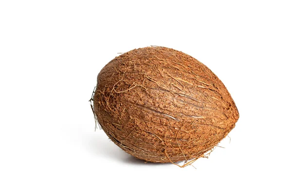 コココナッツの木の丸みを帯びた果実は ココナッツの木の陰謀からの繊維 白い背景に隔離されたココナッツ — ストック写真