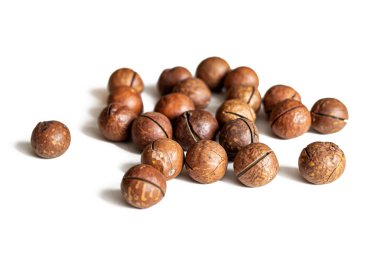 Avustralya macadamia fındıkları, sert kabuğunda yarıklar olan, beyaz bir arka planda izole edilmiş, neredeyse mükemmel küresel şekilli.