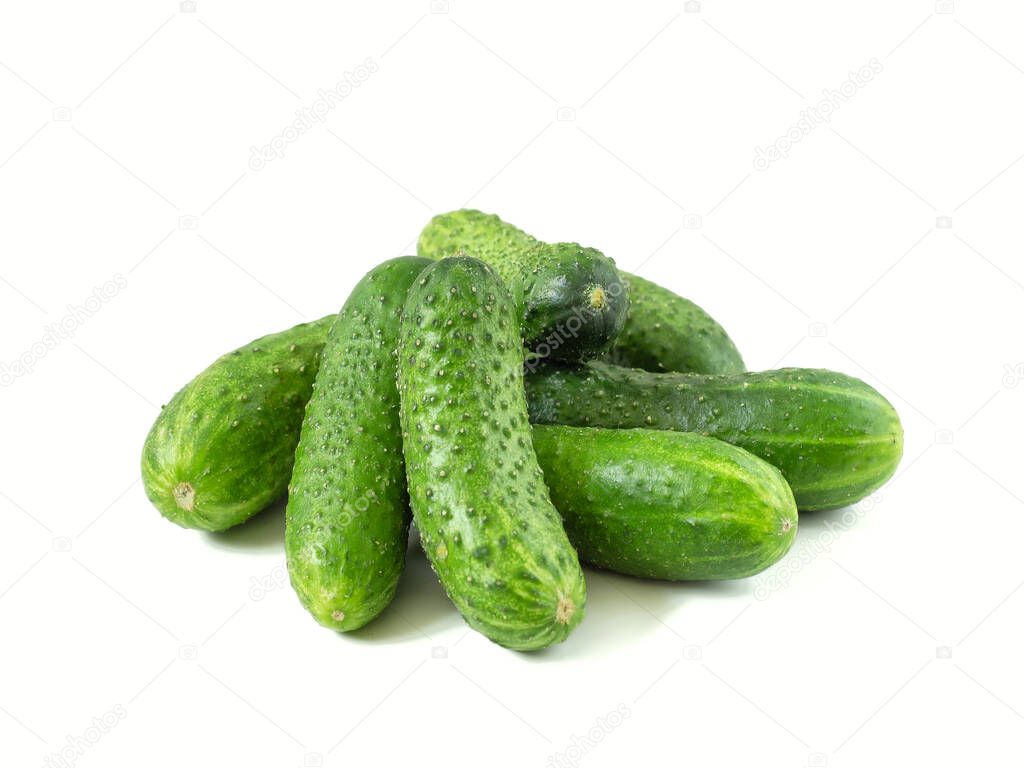 Young fresh cucumbers isolated on white background. New crop from greenhouse