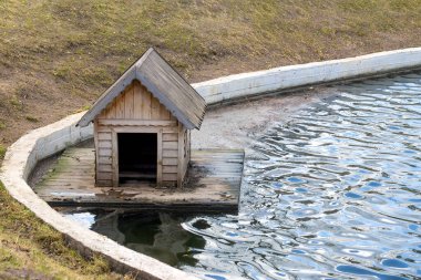 Parktaki gölet. Kıyıya, çöplerle birlikte, dalgalar ördekler için bir ev getirdi. Mavi gökyüzü gelen dalgalara yansır.